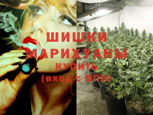 МДПВ Володарск